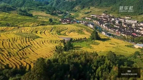 佛山景区游客踩踏陆龟事件通报雷竞技：紧急调查与警示